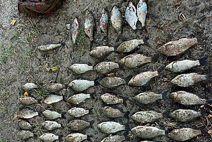 На Днепропетровщине нарушитель наловил раков и рыбы на полмиллиона убытков