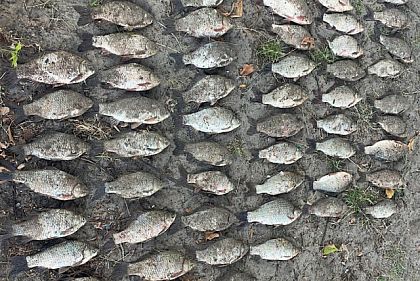 В Днепропетровской области полиция задержала браконьера с судаком, карасем и раками