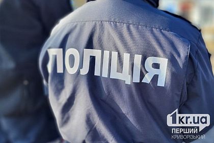 В Кривом Роге установили личности, избивших несовершеннолетнюю девушку