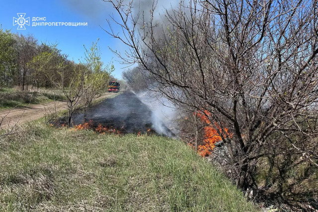 На Дніпропетровщині ліквідували 25 пожеж в екосистемах за добу На Дніпропетровщині ліквідували 25 пожеж в екосистемах за добу