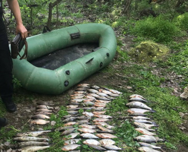 На Дніпропетровщині браконьєр виловив 118 рибин на майже 200 тисяч гривень збитків