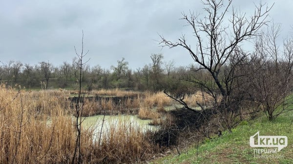 Накопичувач в Покровському районі 