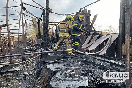 Загинуло 58 свиней: у Кривому Розі горіла господарча споруда