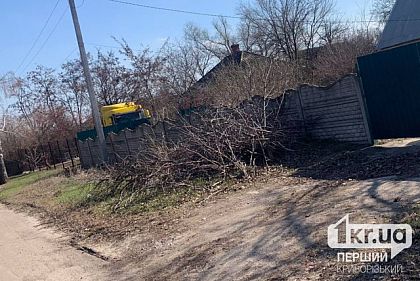 Хто має прибирати обрізані гілки у приватних секторах Кривого Рогу