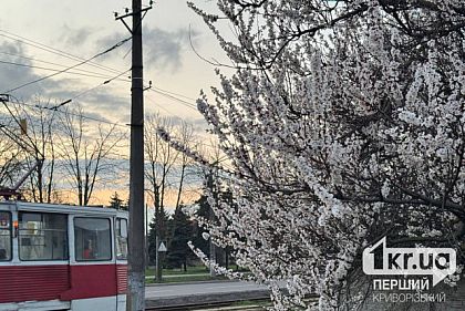 Какой будет погода в Кривом Роге 7 апреля