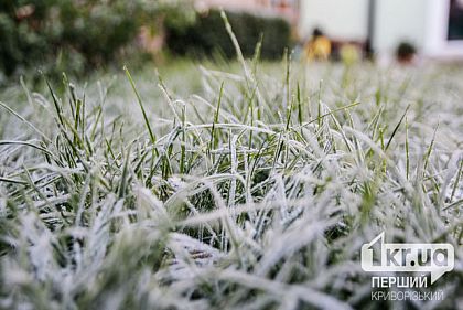 В Кривом Роге ожидаются заморозки до -5°: советы жителям