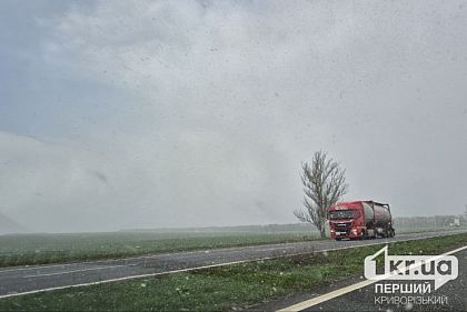 Заморозки и снег: трассу Кривой Рог — Днепр накрыла непогода
