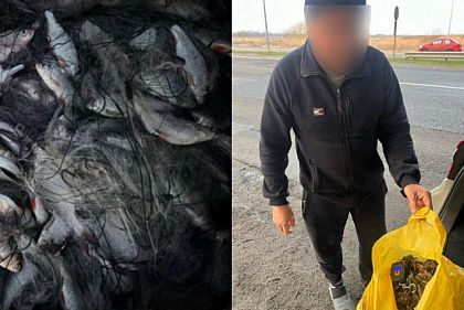 С начала нерестового запрета на Днепропетровщине незаконно выловили 152 килограмма рыбы