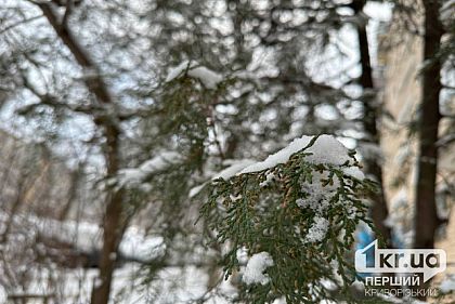 Дождь и снег: погода в Кривом Роге 10 апреля