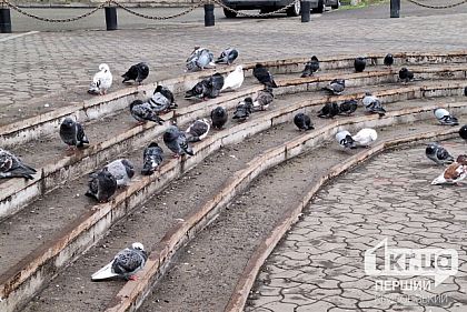 Какой будет погода в Кривом Роге 13 апреля