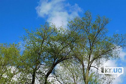 Какой будет погода в Кривом Роге 14 апреля