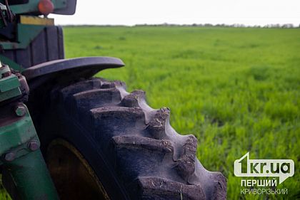 На Криворожье продолжается весенняя посевная кампания 2025: сколько гектаров засеяли