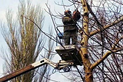 На Днепропетровщине обезопасят 3 000 километров электросетей от аварий во время непогоды