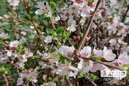 Переменная облачность и до +23°С: погода в Кривом Роге на 17 апреля