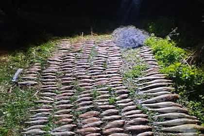 В Днепропетровской области браконьер выловил 241 рыбу на более 400 000 гривен убытков