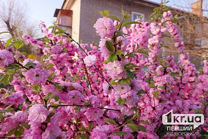 Солнечно и тепло: погода в Кривом Роге на 19 апреля