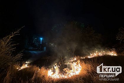 На Днепропетровщине объявлена чрезвычайная пожарная опасность 19-20 апреля