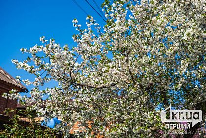 Какой будет погода в Кривом Роге в Пасху 20 апреля