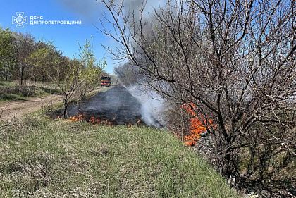 На Днепропетровщине ликвидировали 25 пожаров в экосистемах за сутки