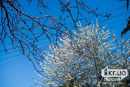 Облачно и до 26°С: погода в Кривом Роге на неделю с 21 по 27 апреля