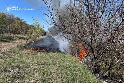 Криворожан предупреждают о высоком риске пожаров до 23 апреля
