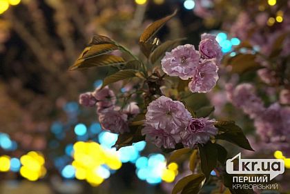 До +25°С и переменная облачность: погода в Кривом Роге 22 апреля