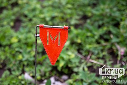 62-летняя жительница Никополя наступила на вражескую мину: в каком состоянии она сейчас