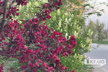 Солнечно и тепло: погода в Кривом Роге 23 апреля