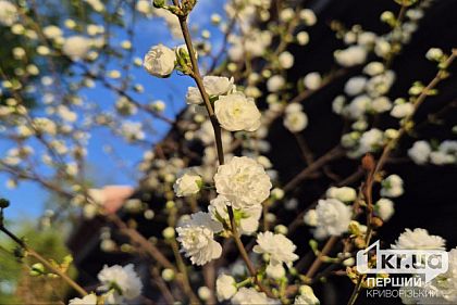 Солнечно и до +27°С: погода в Кривом Роге 24 апреля