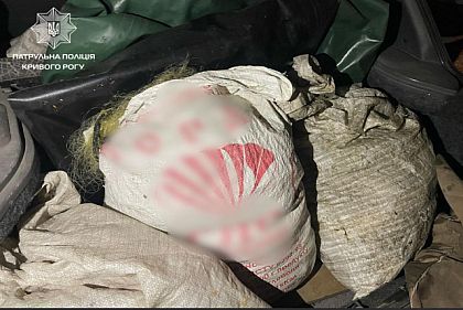 Браконьерский набор в багажнике: патрульные Кривого Рога обнаружили в машине сетки, лодку и рыбу