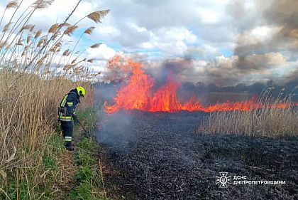 На Днепропетровщине за сутки пожарные ликвидировали 21 пожар в экосистемах