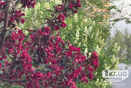 Какой будет погода в Кривом Роге 28 апреля