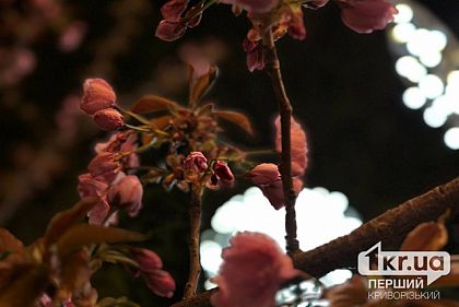 Преимущественно облачно: погода в Кривом Роге 29 апреля