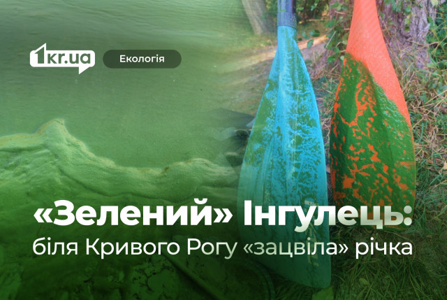 Зеленая вода и неприятный запах: в Кривом Роге зацвел Ингулец