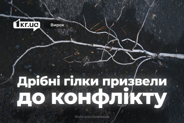 На Криворожье мужчина побил односельчанина из-за спора о сборе дров