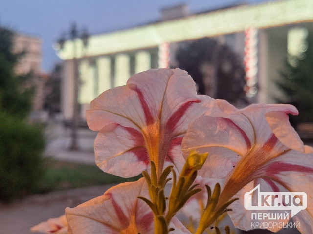 Какая будет погода в Кривом Роге 7 сентября