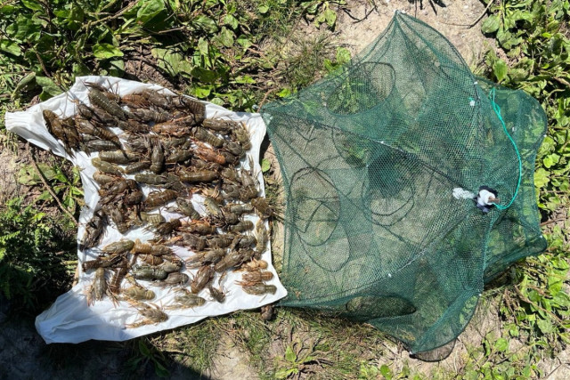 В Днепропетровской области разоблачили браконьеров с сетками и раколовкой