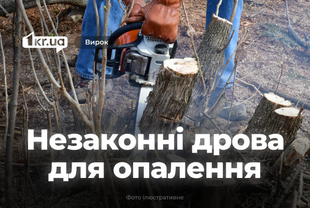 На Криворіжжі винесли вирок чоловіку, який незаконно випиляв дерева для опалення будинку