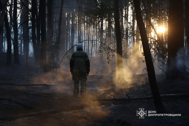 За тиждень вогонь знищив понад 115 гектарів на Дніпропетровщині