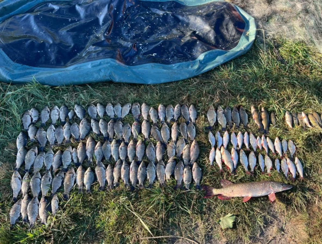 В Днепропетровской области браконьер выловил рыбы на четверть миллиона гривен
