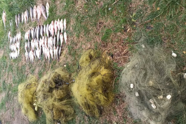 У Кривому Розі браконьєр наловив риби на 140 тисяч гривень