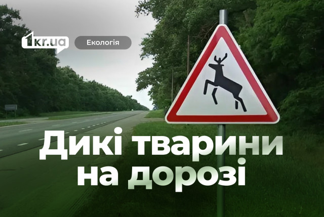 Дикие животные на дороге: жителей Днепропетровщины предостерегают от ДТП