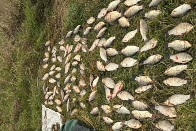 В Днепропетровской области браконьер наловил рыбы и раков: какая сумма ущерба