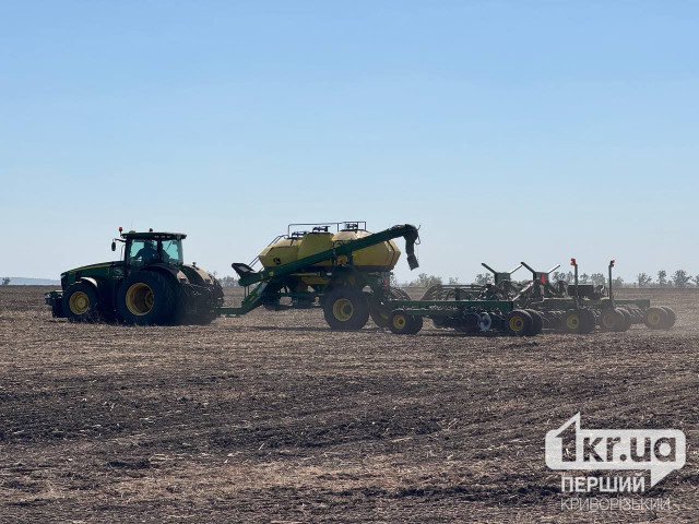 Днепропетровская область среди лидеров по посевам озимых зерновых культур