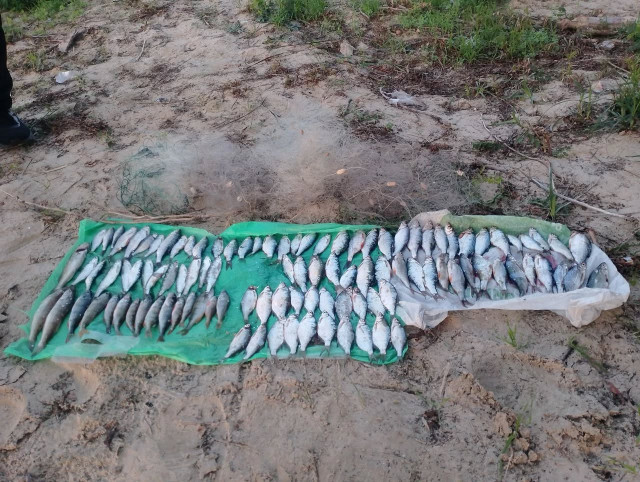 На Днепропетровщине браконьер выловил рыбы на почти 200 тысяч гривен убытков