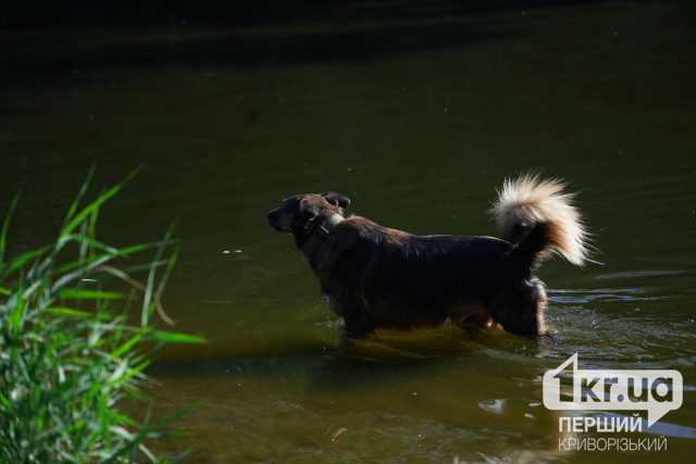 Погода в Кривом Роге на 27 сентября