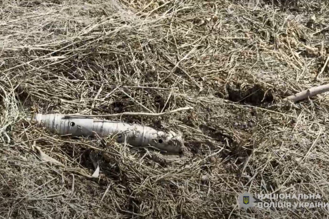 В селе на Криворожье обезвредили кассетный боеприпас возле частного дома