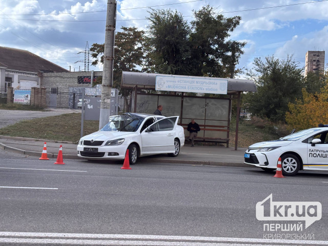 В Кривом Роге легковой автомобиль въехал в столб