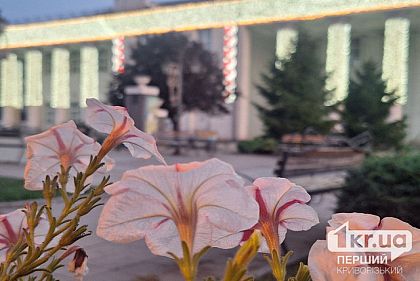 Погода в Кривом Роге в первую неделю сентября