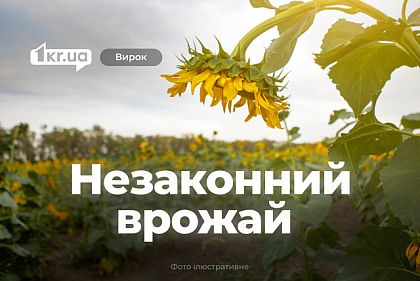 Житель Криворожья самовольно засеял гектары чужой земли – суд вынес приговор